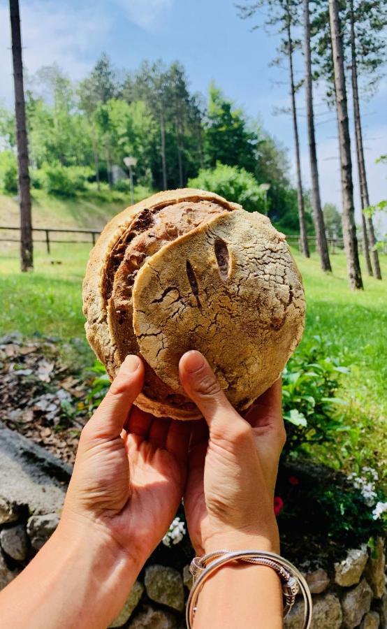 Garni Lago Nembia San Lorenzo Dorsino Eksteriør billede